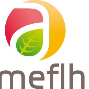 ARMEFLHOR-1 ARMEFLHOR-1